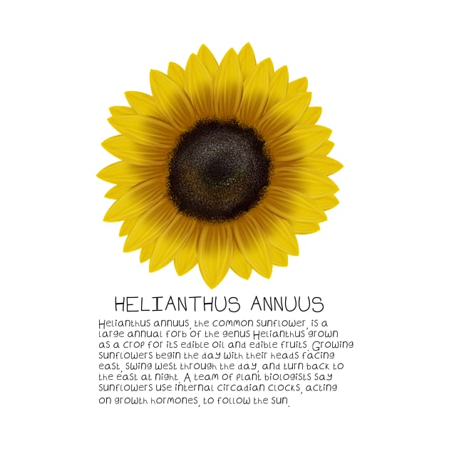 Yellow Sunflower Genus and Description Print by DesignsBySaxton