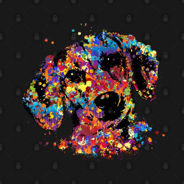 Colorful Dachshund dog  - Doxie by Nartissima