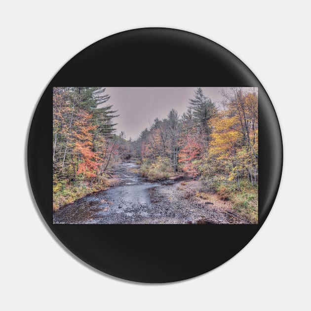 Crooked River Autumn Pin by BeanME