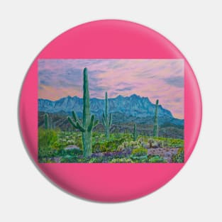 Sunset in Arizona desert Pin