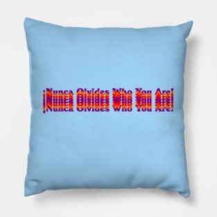 Nunca Olvides Who You Are! Pillow