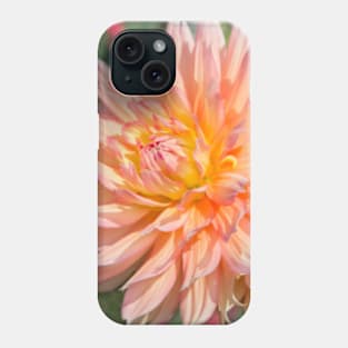 Delicate Pink Petals Phone Case