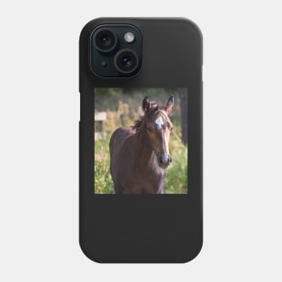 TB COLT Phone Case