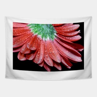 Red Gerbera Flower Tapestry