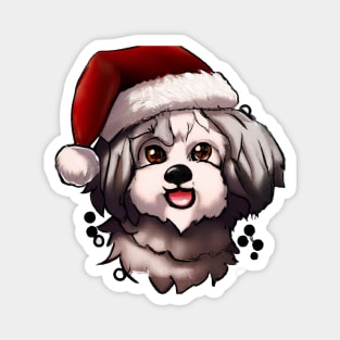 Cute Havanese Drawing Magnet