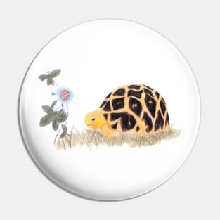 Tortoise and Passionflower Pin