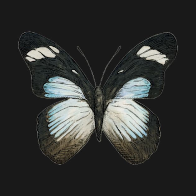 blue and black butterfly by blueicedjack