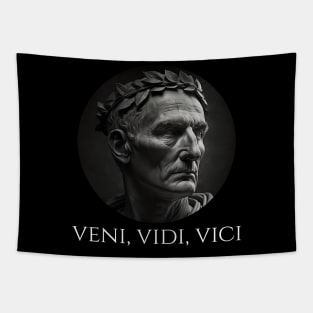 Gaius Julius Caesar - Veni Vidi Vici - Latin Quote Tapestry