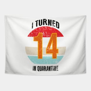 14th birthday in quarantine Tapestry