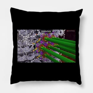 Kinetochore Pillow