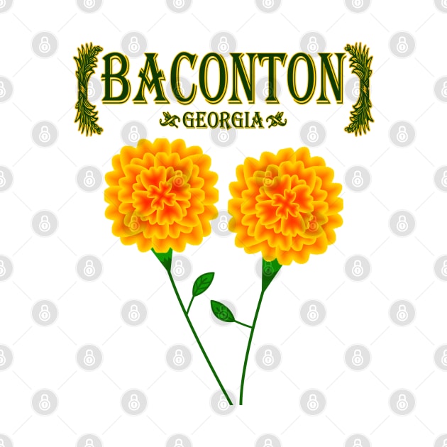Baconton Georgia by MoMido