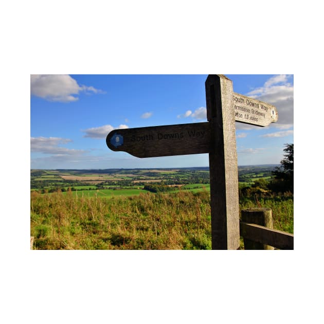 South Downs Beacon Hill Hampshire England by AndyEvansPhotos