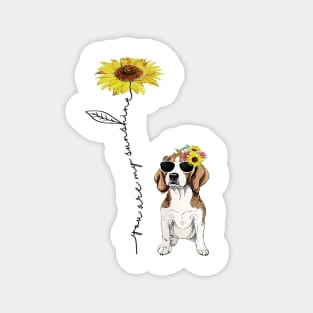 You Are My Sunshine Beagle Magnet