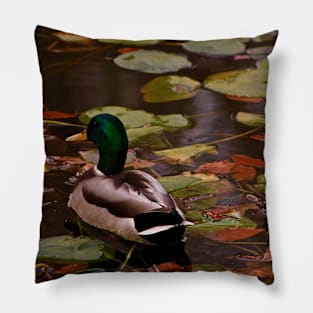 Mallard Duck Pillow