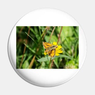 42914 orange butterfly Pin