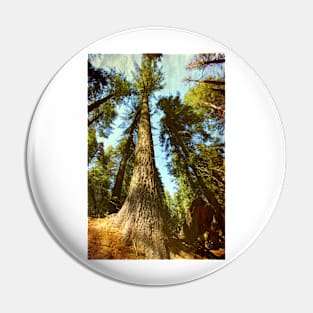 Sequoia tree Pin