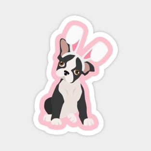 bunny Boston terrier Magnet