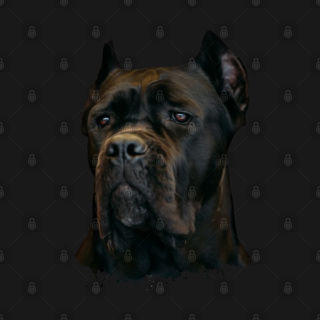 Cane Corso - Italian Mastiff by Nartissima