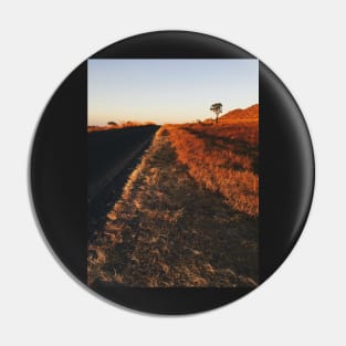 Single Tree in Dry Grassland in Warm Sunset Light Pin