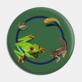 Life Cycle Pin