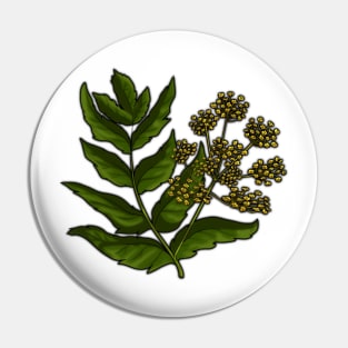 Wild Parsnip - Poisonous Pretties Pin