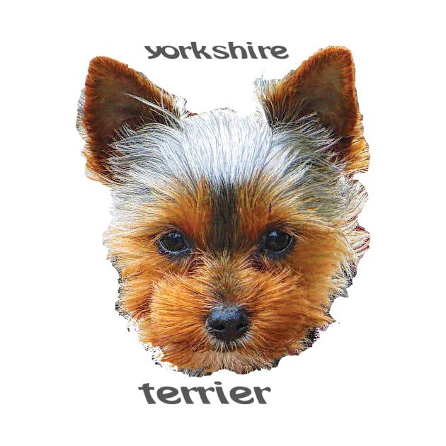 Printing dogs - Yorkshire Terrier by Hujer