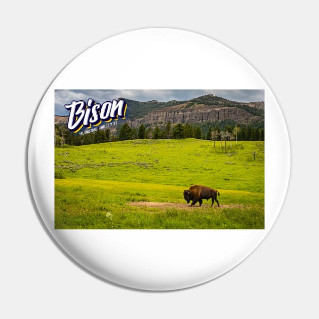 Bison at Yellowstone Pin by Gestalt Imagery