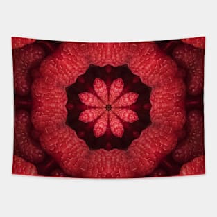 Resplendent Raspberry Kaleidoscope Tapestry