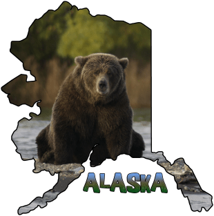 Alaska (Grizzly Bear) Magnet