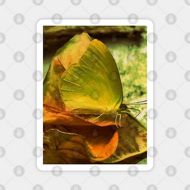Yellow Butterfly Impressionism Magnet by City1221