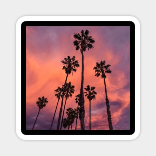 Palm Trees Magnet