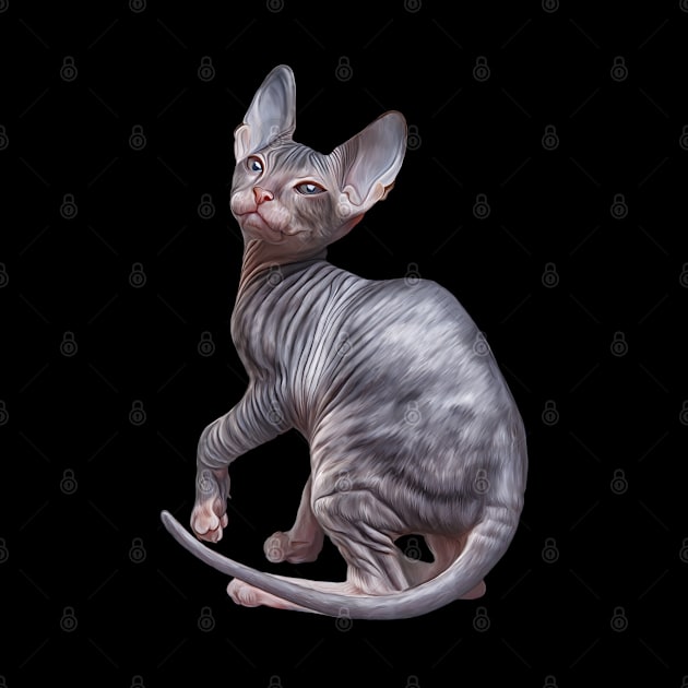 Drawing Sphynx kitten by Bonidog