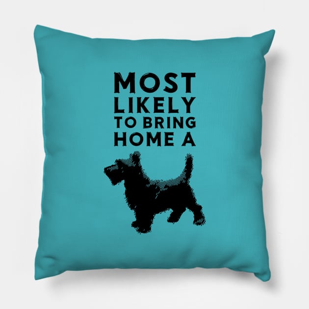 Most likely to bring home a scottish terrier (scotty) Pillow by chapter2