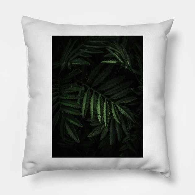 FERN Pillow by LUCIFERIN20