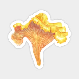 Chanterelle Magnet