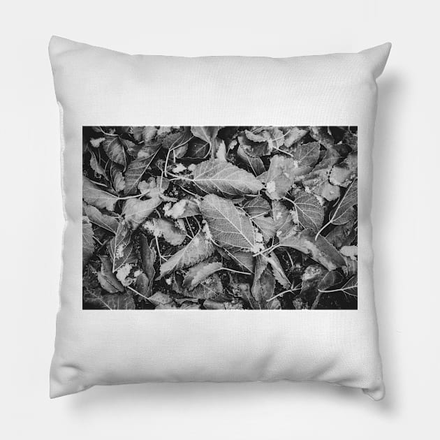 Snowflakes and Autumn Leaves Black and White Pillow by Amy-K-Mitchell