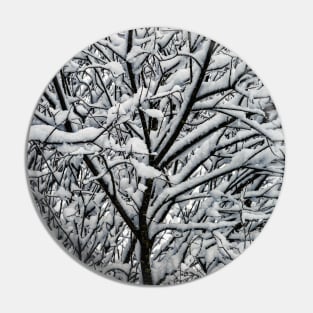 Snow Covered Winter Tree Branches Pin