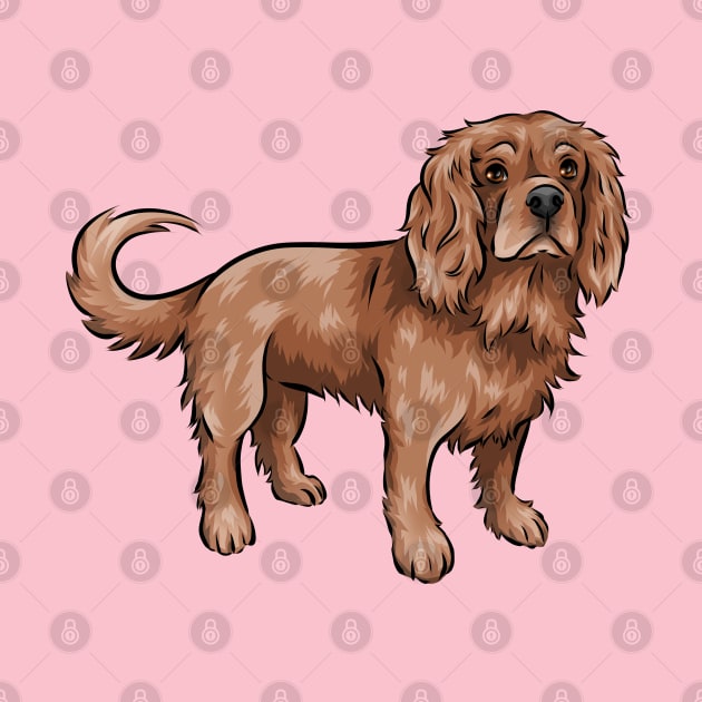 Cute Ruby Cavalier King Charles Spaniel by Shirin Illustration