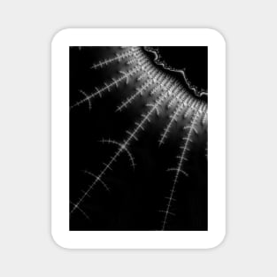 Monochrome Fractal Lightning Magnet