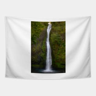 Horsetail Falls - 2 © Tapestry