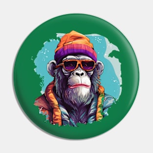 Colourful Monkey Pin