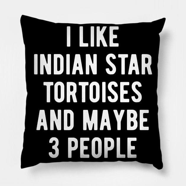 I like indian star tortoises and maybe 3 people Pillow by BlueTodyArt