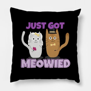 Just Got Meowied Funny Cat Pillow