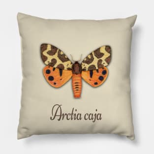 Garden tiger moth illustration Pillow