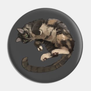 Cute cat curled up playful happy cat Pin