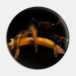 Banana, Thistle & Feathers 2 - Baroque Inspired Dark Still Life Photo Pin