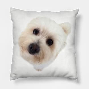 Lola Pillow