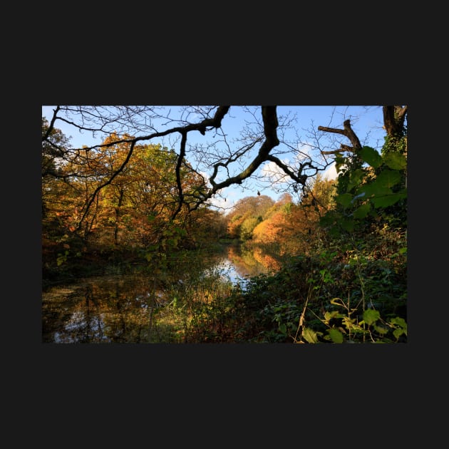 Wanstead Park by Z Snapper