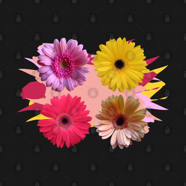 gerbera flowers, daisies, gerberas, daisy, bloom by rh_naturestyles