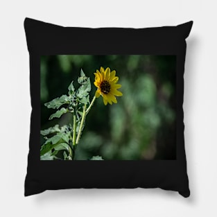 Wake Up and Follow the Sun Little Sunflower Pillow